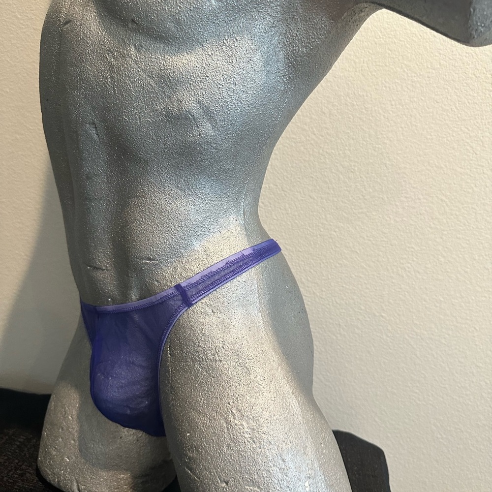 See Thru Sheer T-Back Purple. #600